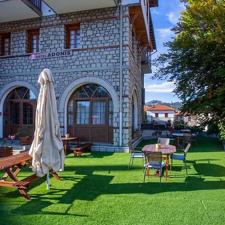 Hotel Adonis Мецово Екстериор снимка